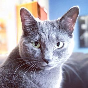 Meet your Posher, John